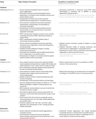 Cellular Pathogenesis of Chemotherapy-Induced Peripheral Neuropathy: Insights From Drosophila and Human-Engineered Skin Models